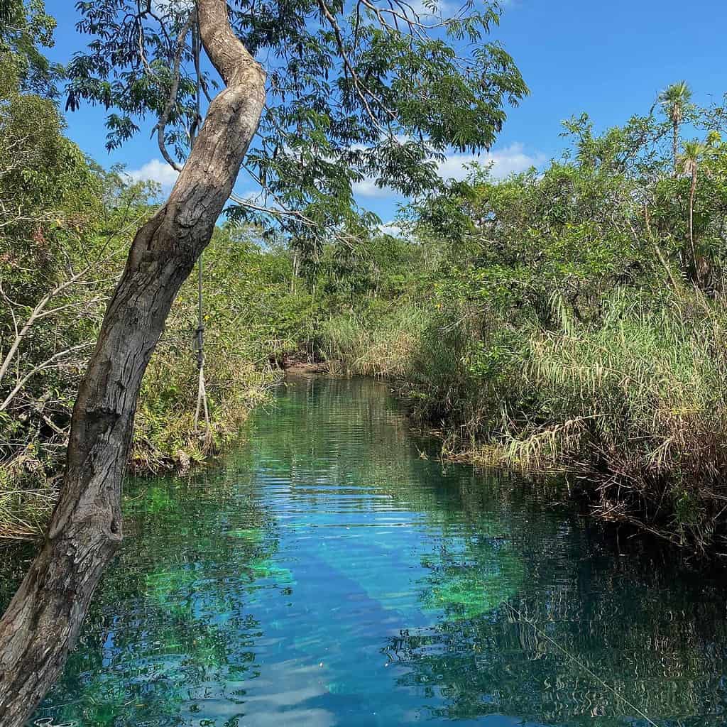 turquoise water cenote