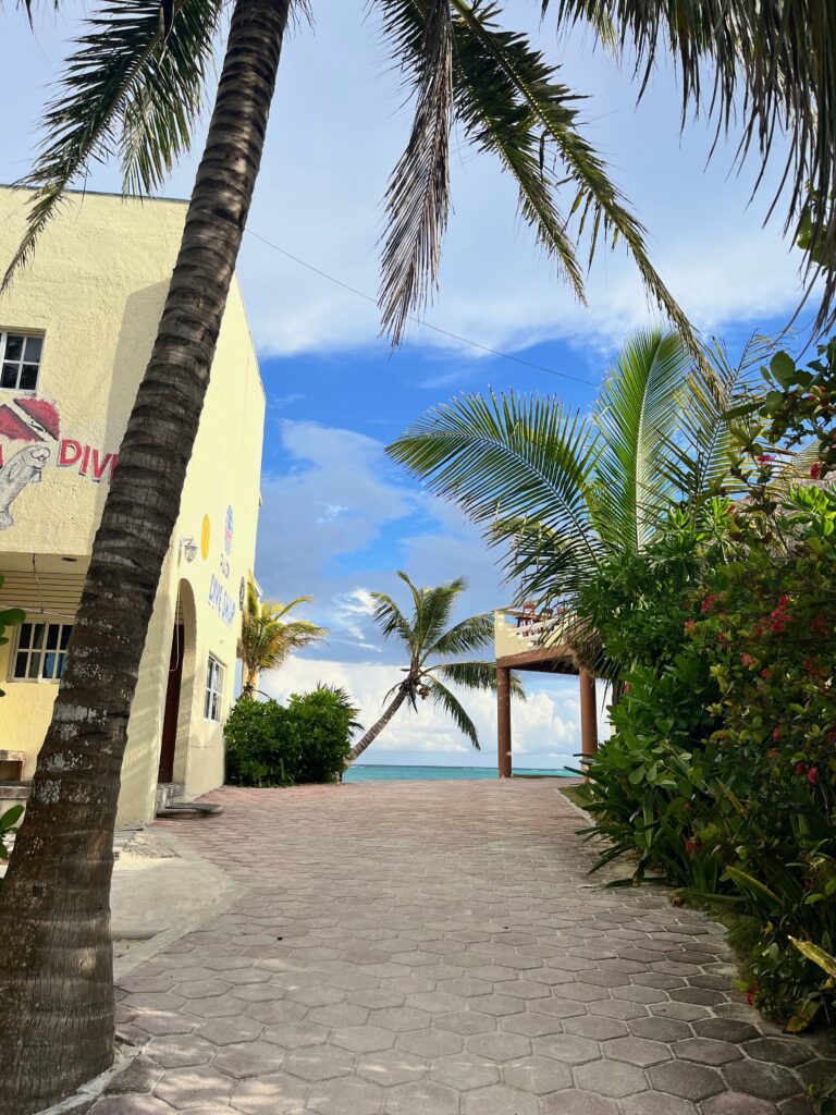 view into a small beach enclave on the Caribbean coast of Mexico