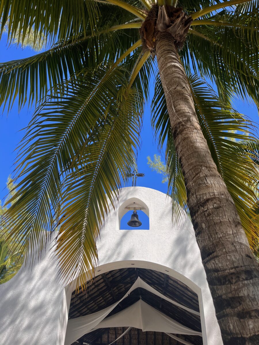 view of a church bell from below a palm tree with blue sky