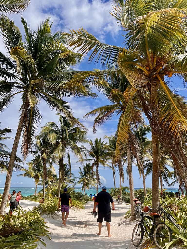 Tulum beach with palm trees and blue sky