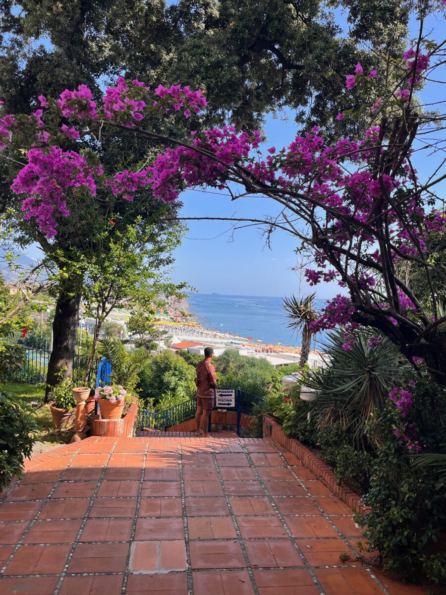 a man on a path to the beach in Italy covered with pink flowers