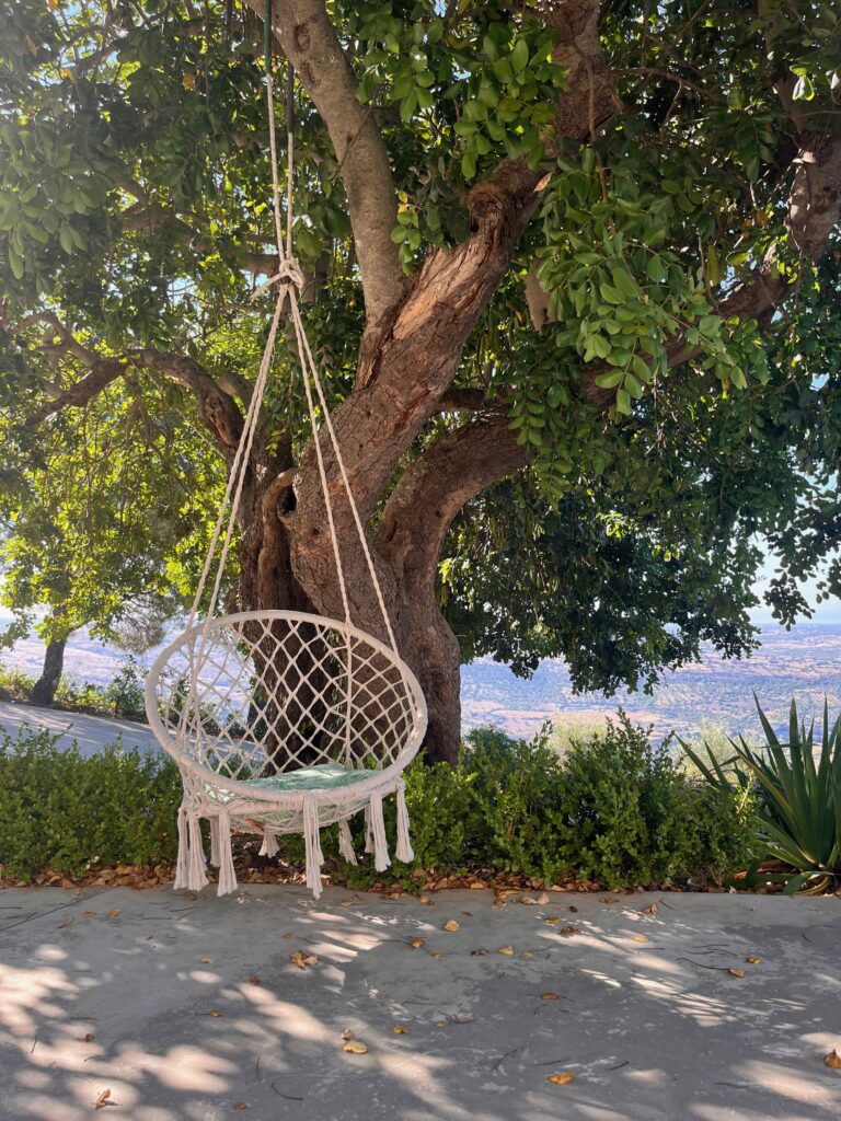 a comfortable swing attached to a tree with a view of Sicily in the background