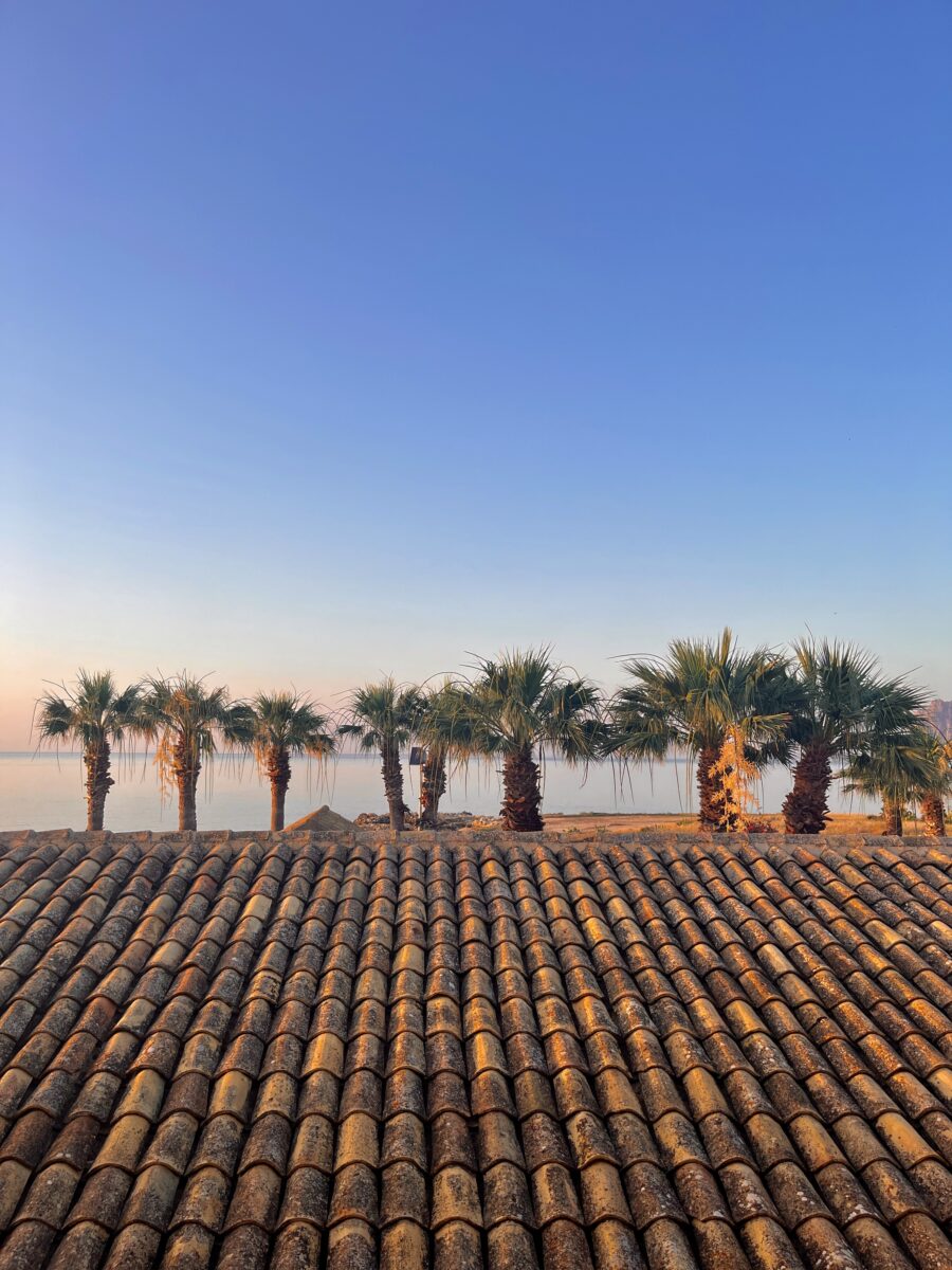 sunset over terracotta roof tiles with palm trees in Sicily