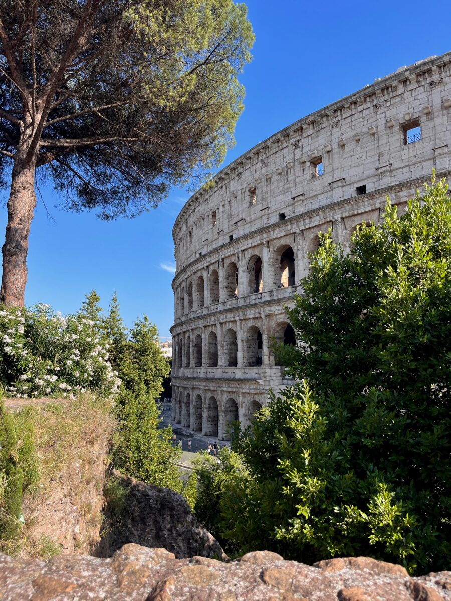The colosseum in Rome, Italy surrounded by pine trees and a blue sky