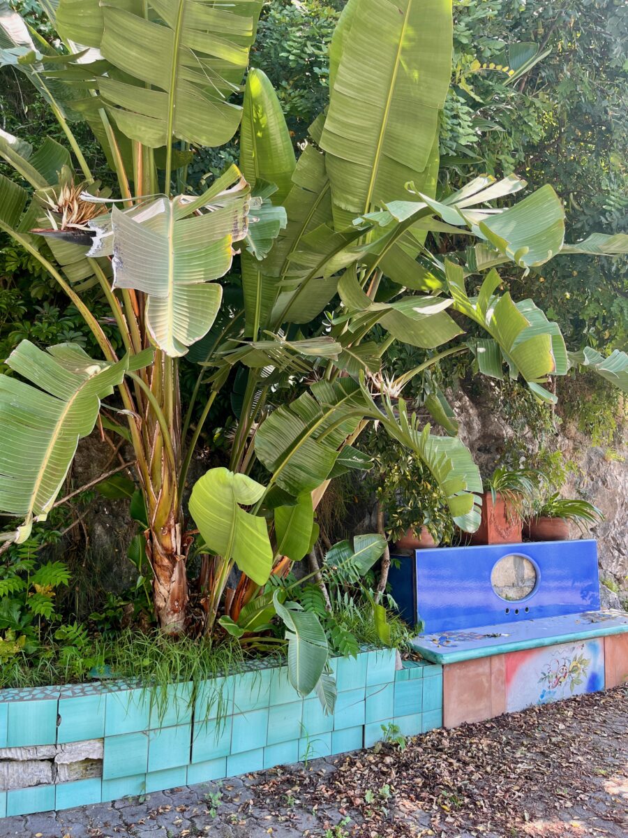 a bench covered in ceramic next to a large banana tree in Vietri sul Mare on the Amalfi Coast