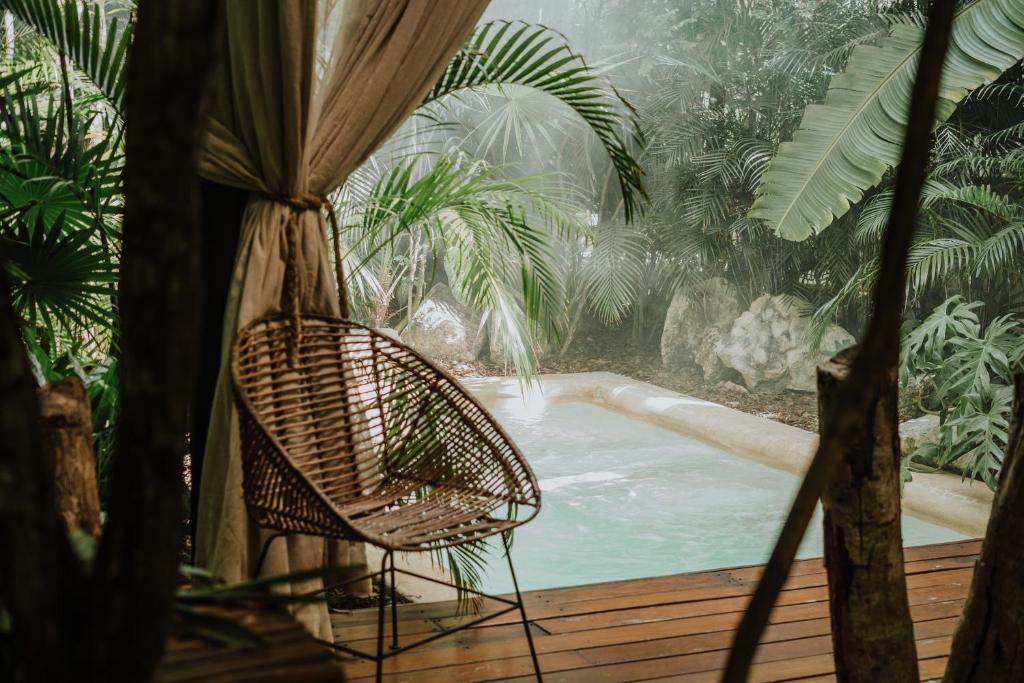 a jungle sanctuary hotel with pool in Tulum Mexico
