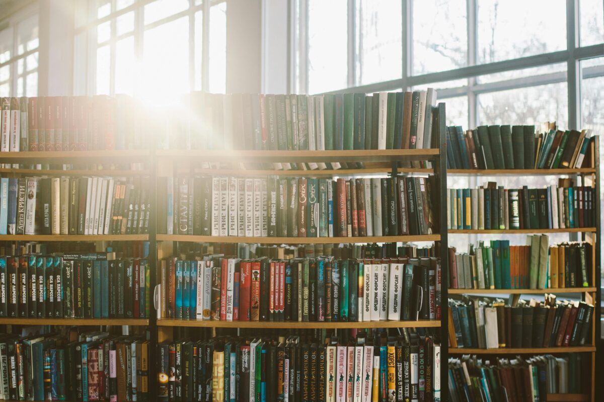 a library with many different books lit by sunshine