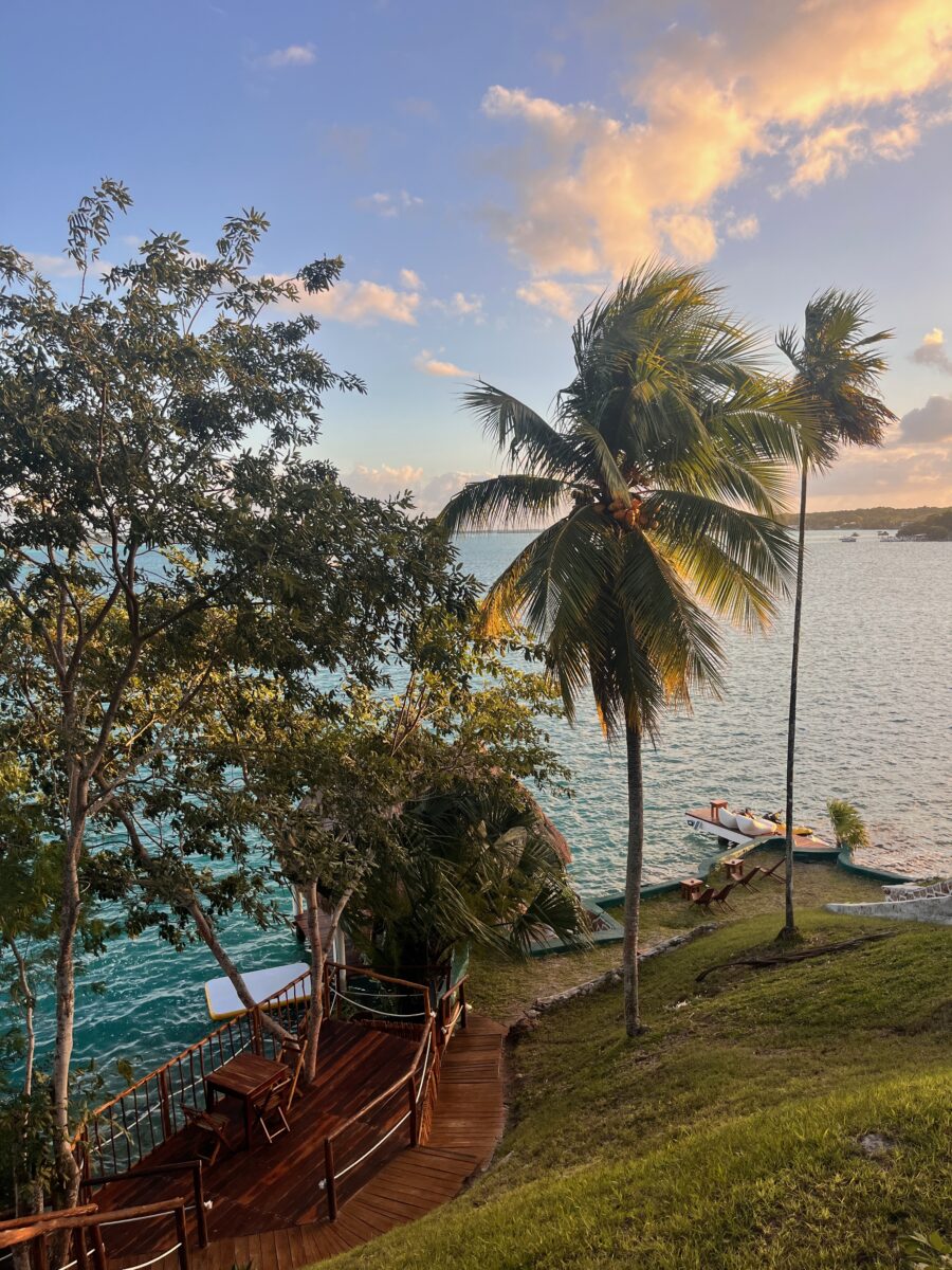 a view of the lagoon of Bacalar in Mexico at sunset, with palm trees and lush vegetation