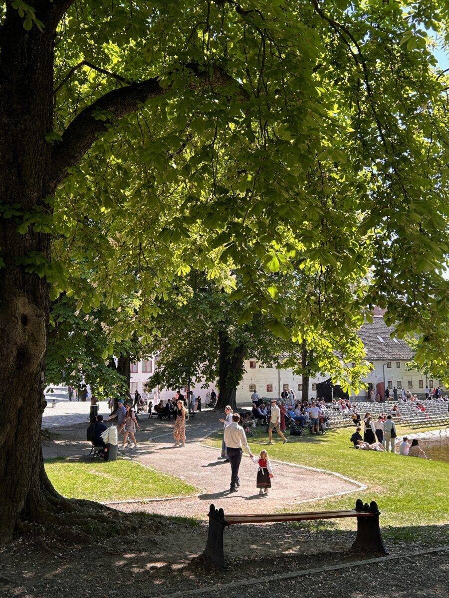 greenery in the old city centre of Oslo