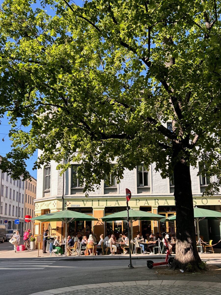 bustling terrace on a sunny day in oslo