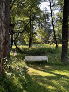 a white bench in a lush garden of the mountains of Transylvania
