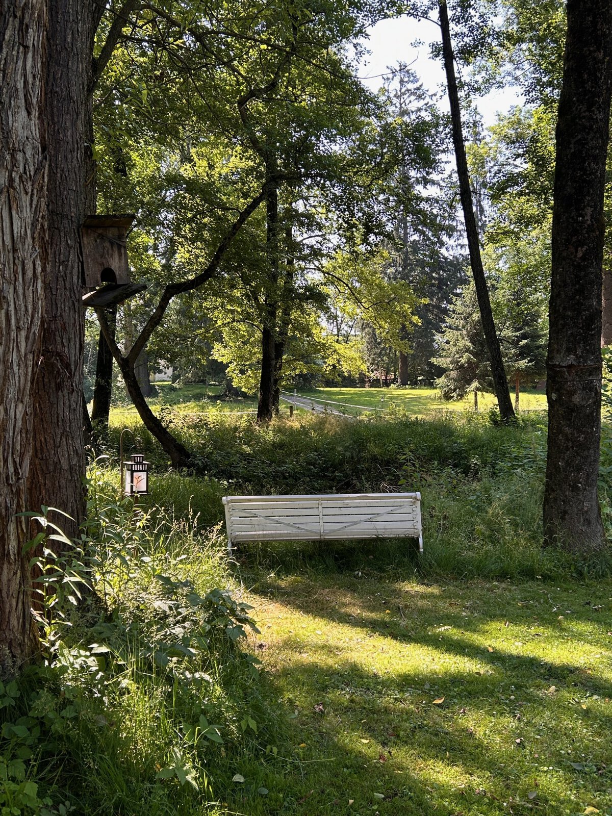 a white bench in a lush garden of the mountains of Transylvania